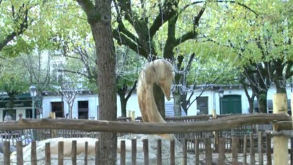 LES  W-D.D.MICHOU NEWS - 27 NOVEMBRE 2013 - PAU PREPARE NOEL DECOUVRONS LES NOUVEAUTES 2013 -