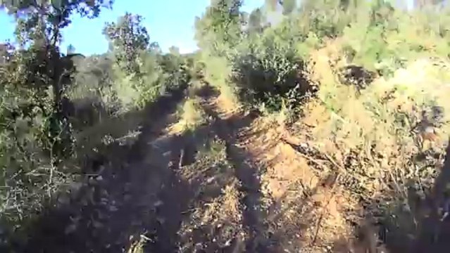 Vtt 70 Km vers hyeres 1