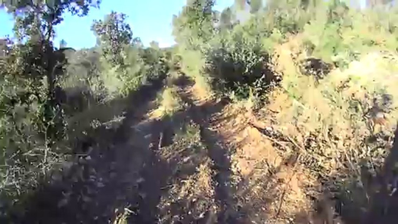 Vtt 70 Km vers hyeres 1