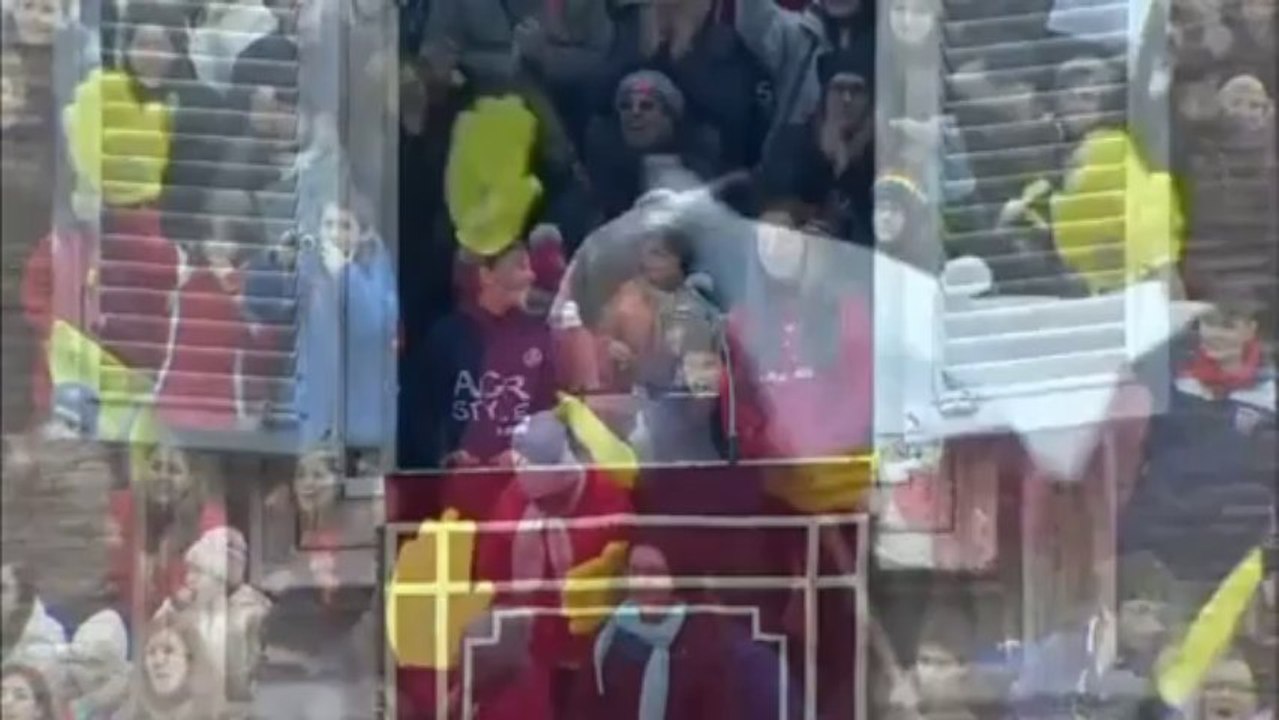 Pope's peace doves attacked by crow and seagull