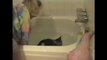 Crazy Cat Bath Fail - she fall in the bath with the animal!