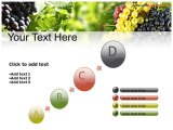 Grapes Editable PPT Templates