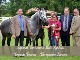 ELEVAGE DE L'HOSTE - Medley 2013