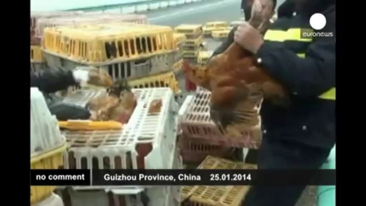 Chine