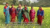 Biodiversity in Nepal: Protecting the Bees | Global 3000