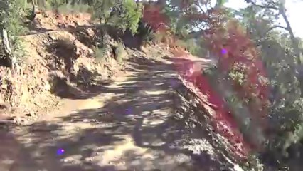 Vtt 70 Km vers hyeres 3