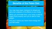 Benefits Of The Paleo Diet|Paleo Diet Cookbook|Paleo Recipe Book|Paleo Diet Book (mp4 1080p)