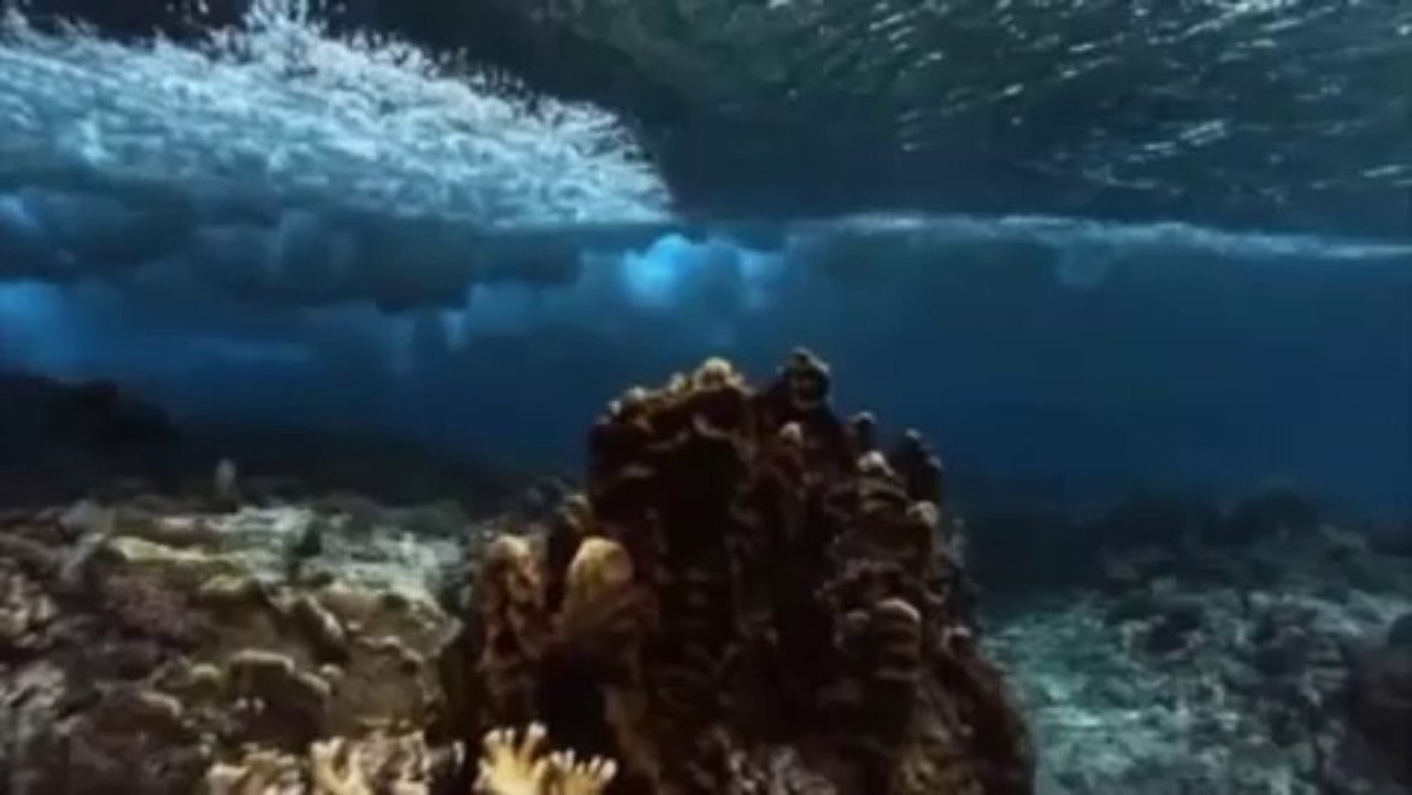 Vangelis - La Petite Fille de la Mer