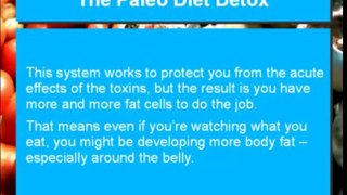Paleo Recipe Book|Paleo Diet Recipes and Detox|Paleo Diet Recipe and Benefits (mp4 360p)