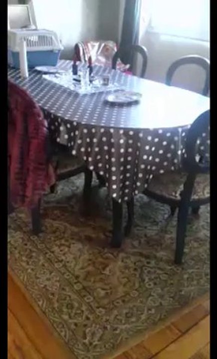 Indira le 26 janvier 14 à Strasbourg chez Alexandra