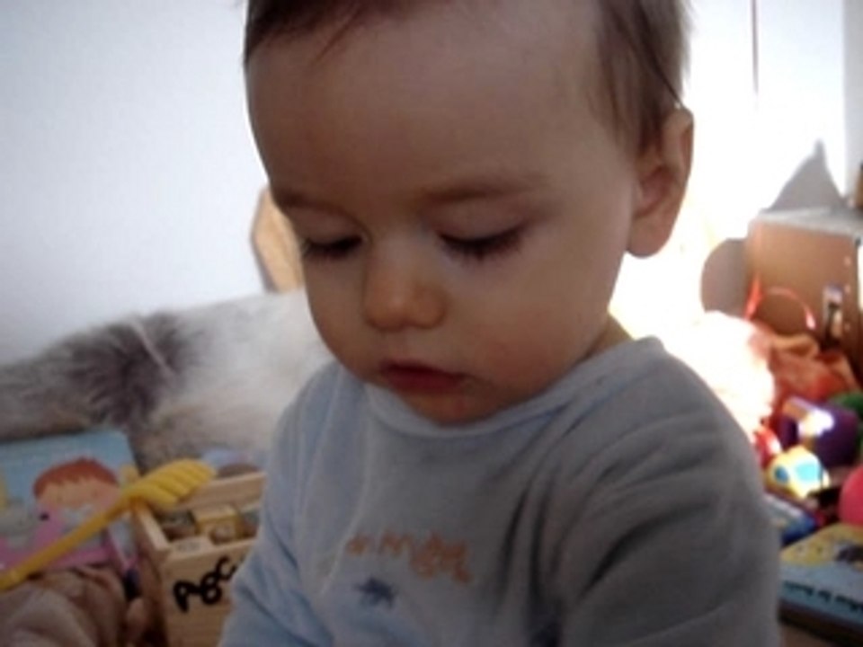 Noah 301106 004