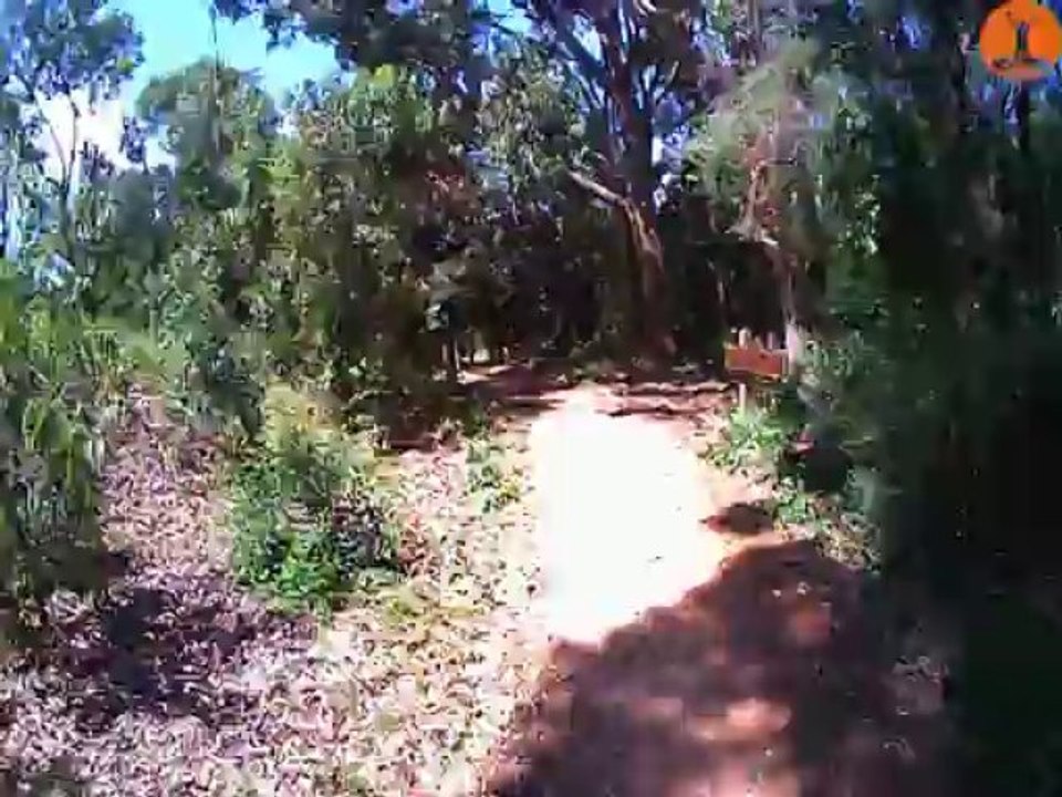 Cardio workout from Coogee to Cronulla Sand Dunes