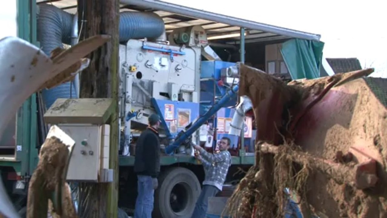 CAP SEMENCES & SOL'AYRES, commerce de gros de semences et production d'électricité photovoltaïque