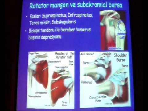 DOÇ.DR.EMEL OLGA ÖNAY & DOÇ.DR.ŞEHRİ AYAŞ 23 OCAK 2014 ADO EĞİTİM SEMİNERİ 2