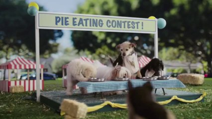 CarMax 2014 Ad - Puppy Version