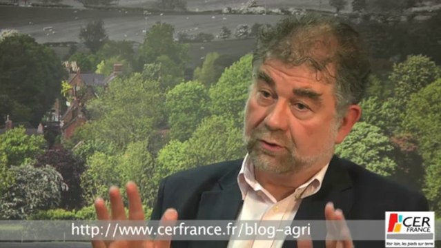 Marché des viandes : attention danger ! par Jean-Marie Seronie