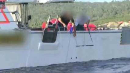 First shark killed as part of Western Australia's cull