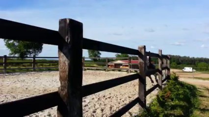 Umour saut en liberté