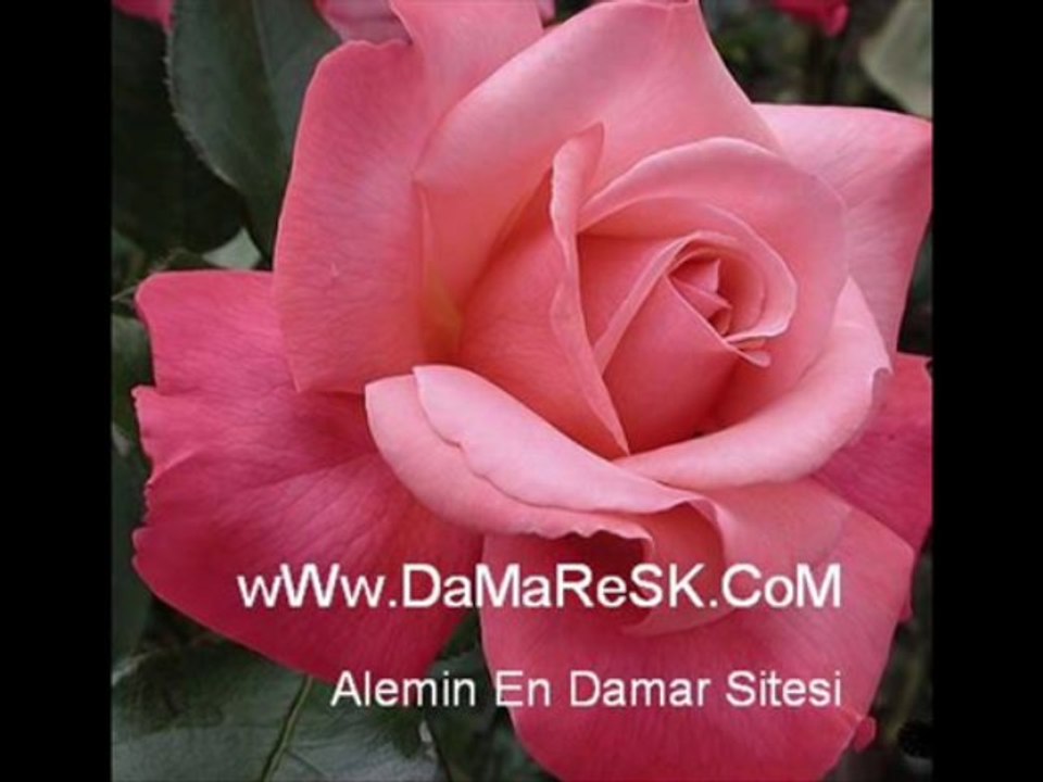 Gaye Aksu Gururum ( seslisehir //// seslisehir //// seslisehir //// [ATİL_44]