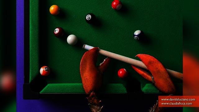 Surreal Food Photos Shows Animal Feet in Whimsical Activities