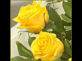 Seslideberrak Hakkı Bulut - Sarışın Sarı kız berrak eylül memet