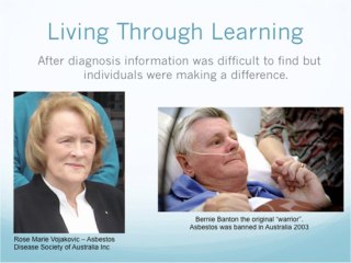 Lou Williams Australia Speech for Pakistan Ban Asbestos Conference 01/02/2014