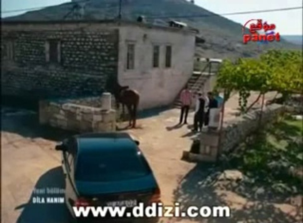 dila19