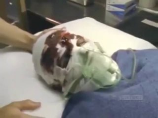 Mob Stories 2 - Frank (The Big Guy) Cotroni - Canadian Mobster