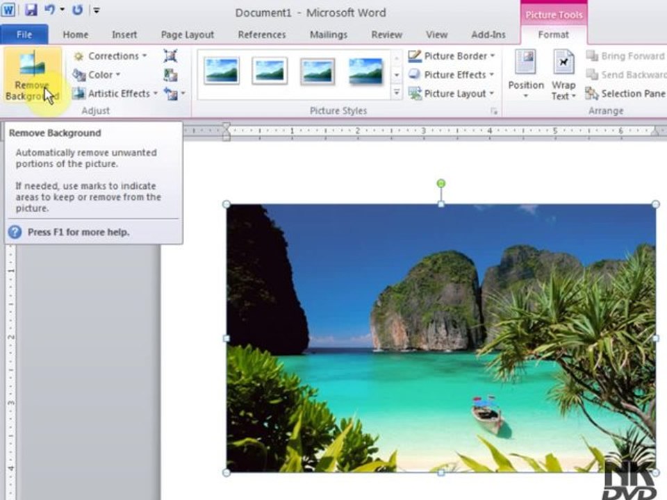 Lesson  37 Insert Picture _ Remove BG (Microsoft Office Word 2007_2010 Free Tutorial Urdu Hindi Video Training taleem.tv Pakistan Education