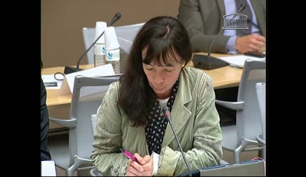 Audition de Mme Claude Revel, auteure du rapport Développer une influence normative internationale stratégique pour la France, M. Alain Costes, directeur à l’AFNOR et M. Alain Savary, directeur général d’AXEMA - Mercredi 13 Mars 2013