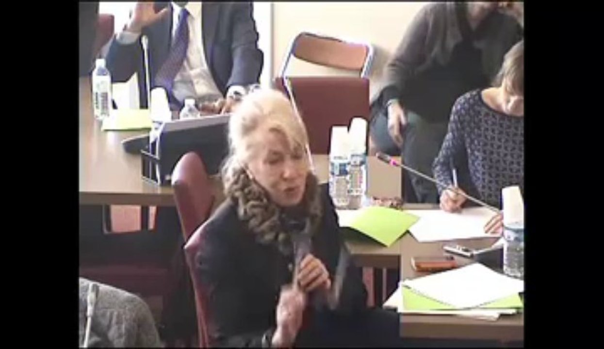 Table ronde sur le traité sur le commerce des armes - Mercredi 13 Mars 2013