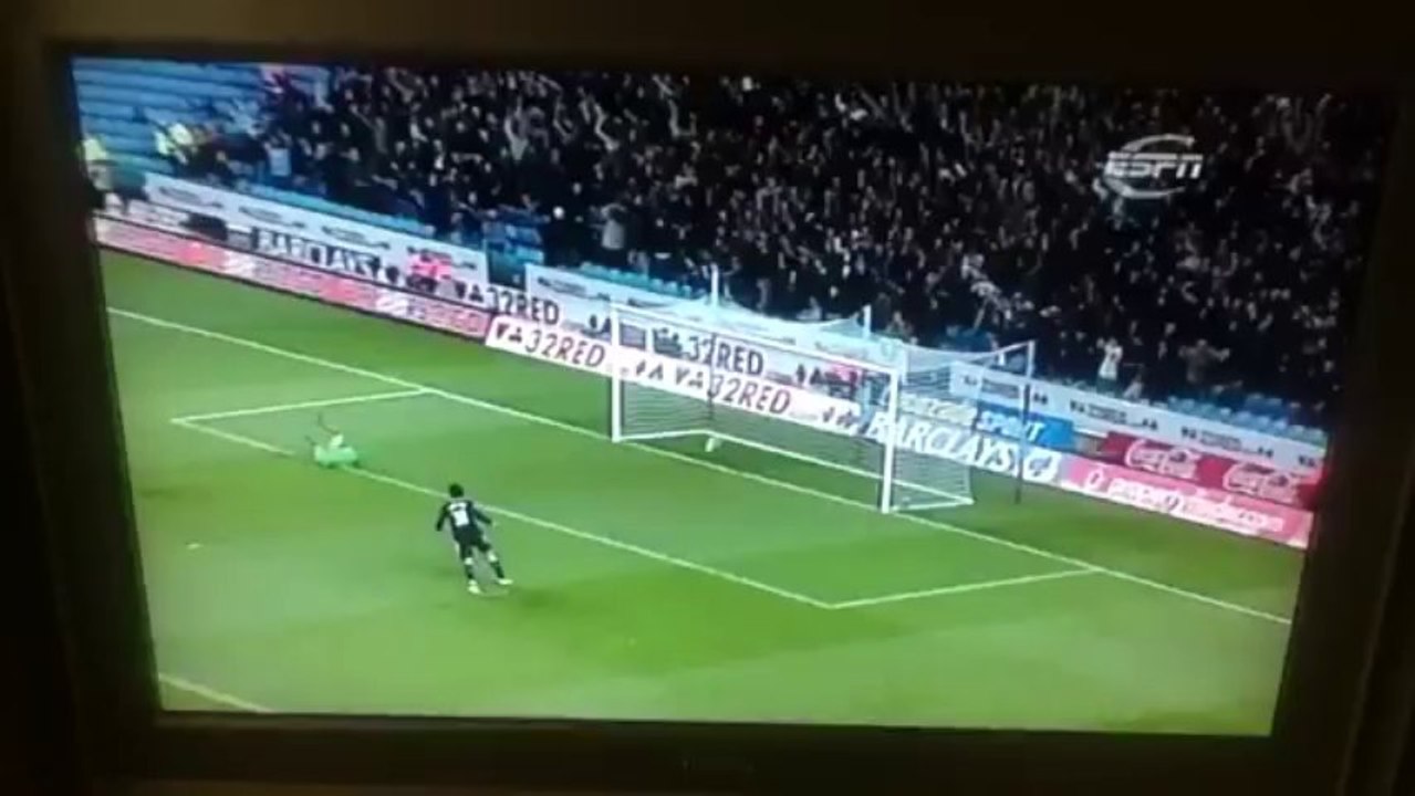 Sylvain Distin Solo Goal