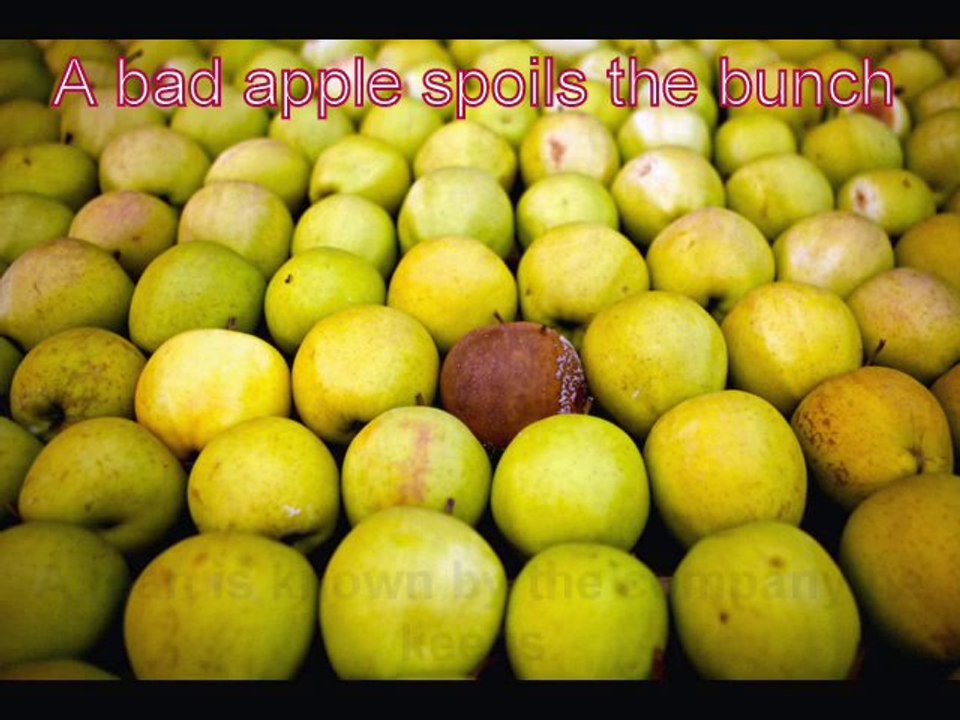 Links that make and break your reputation. Quality links matter in everything