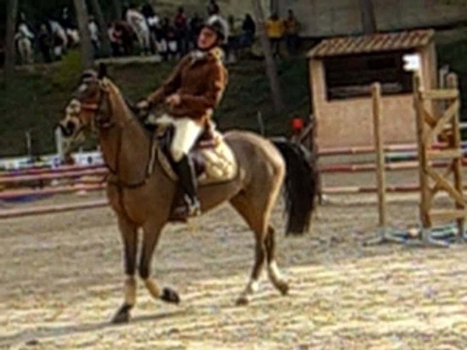 C1P - Heros de Pirou