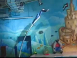 DOLPHIN SHOW - DUBAI - MAY 2011