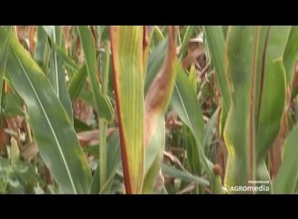 IZMENE U ZAKONU O SREDSTVIMA ZA ZAŠTITU BILJA_ 332 _25.01.2014.