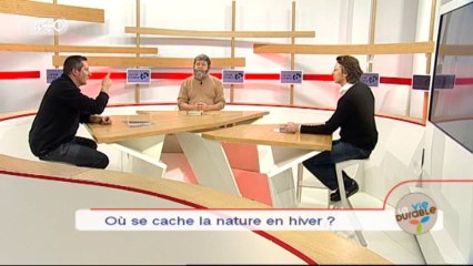 La vie durable : Y a t-il une vie sauvage dans le Nord-Pas de Calais