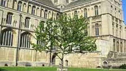 Peterborough Cathedral Peterborough Cambridgeshire