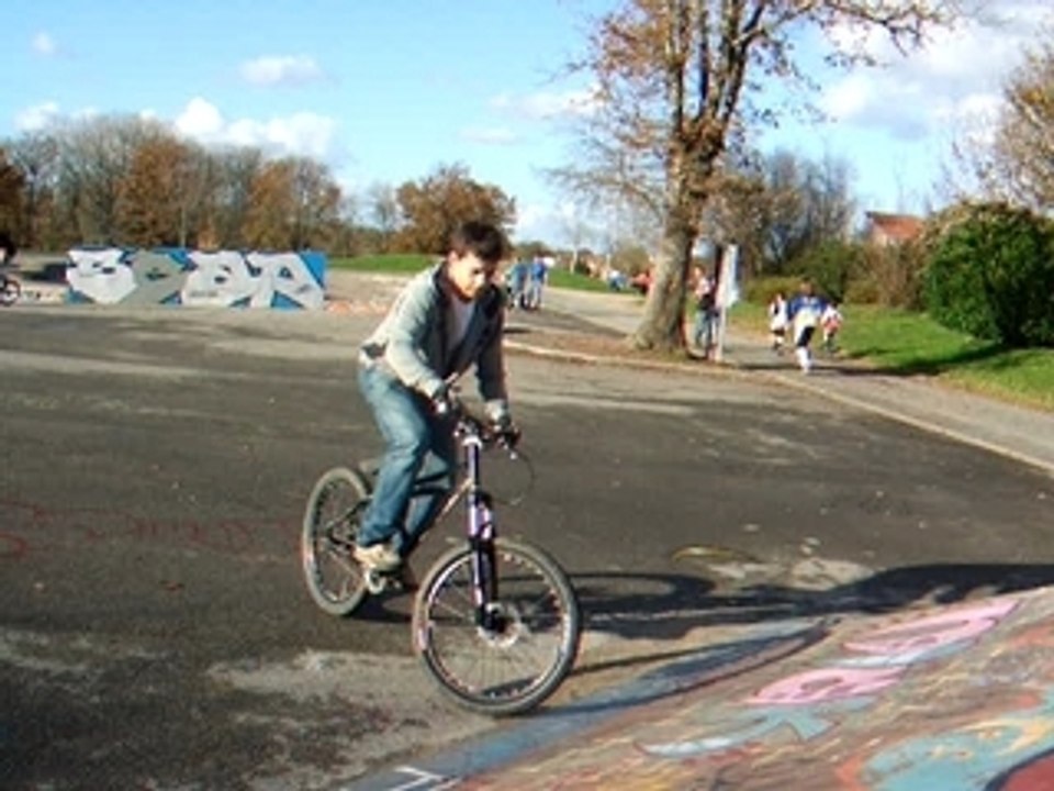 skate park de la généraudière