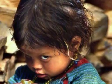 Nicolas William Sheller