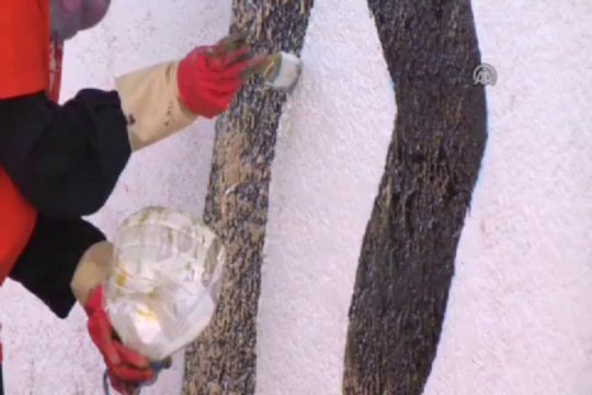 Yemen'de ülke sorunları duvarlara çiziliyor