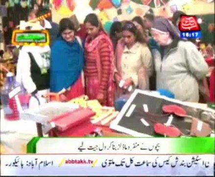 Arts and Science Annual Exhibition in Army Public School Sialkot