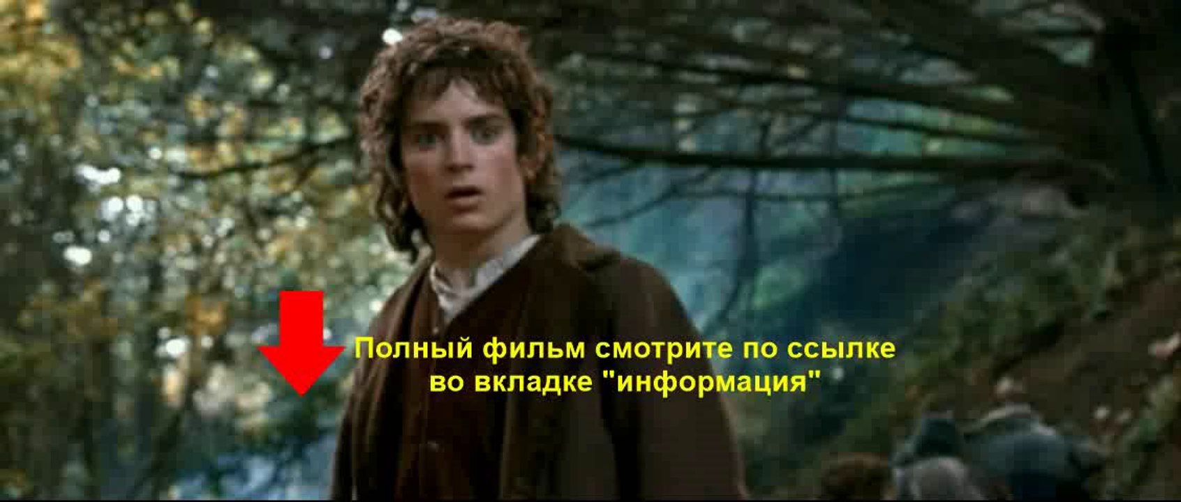 Властелин колец Братство кольца