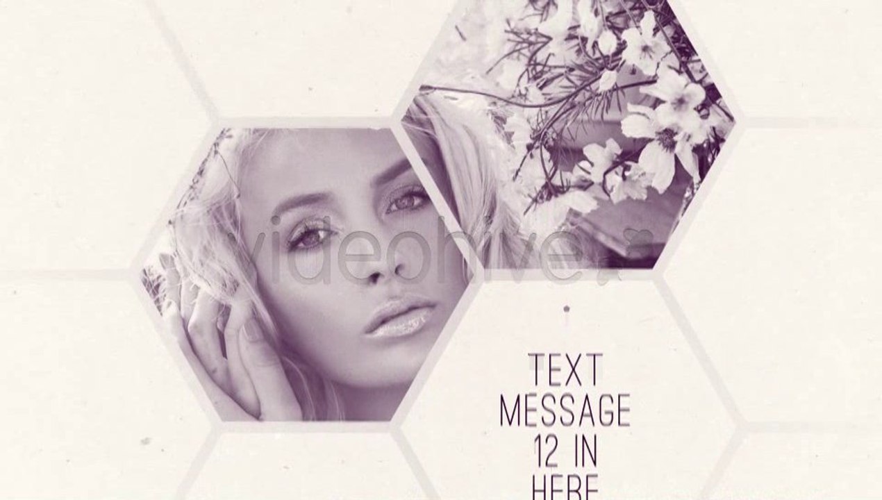 Clean White Hexagon Presentation