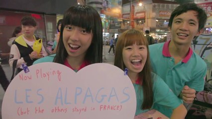 Les alpagas en live à Taipei