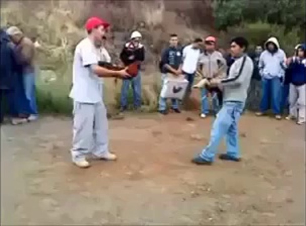 coock fight