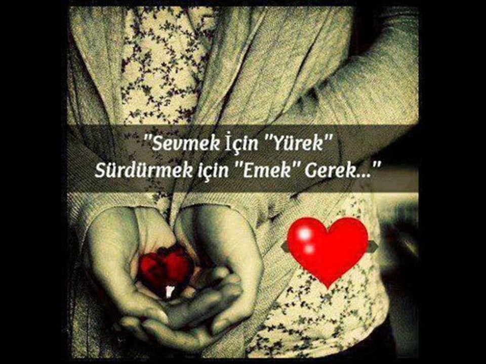 Barış Manço-Bahçede Hanımeli