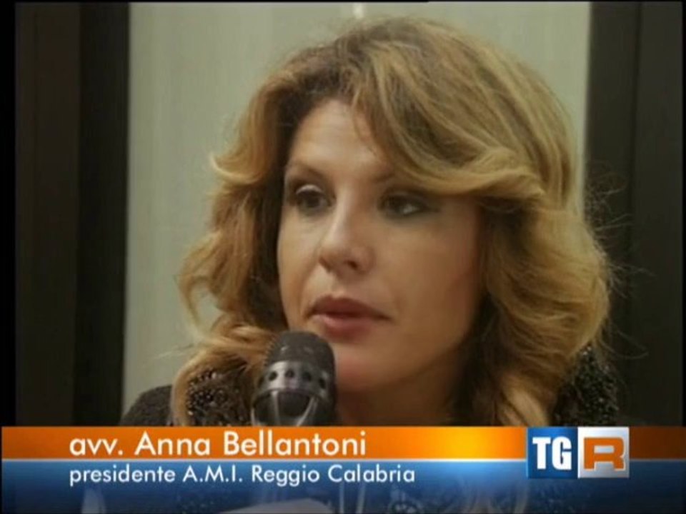 AMI AVVOCATI VIDEO: REPORTAGE CONVEGNO RC 24GEN 2014.