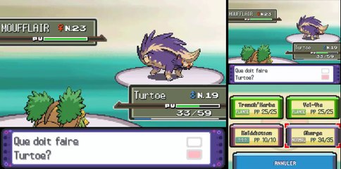 Pokémon Pt: Max% [8] Moufflair l'Éclair