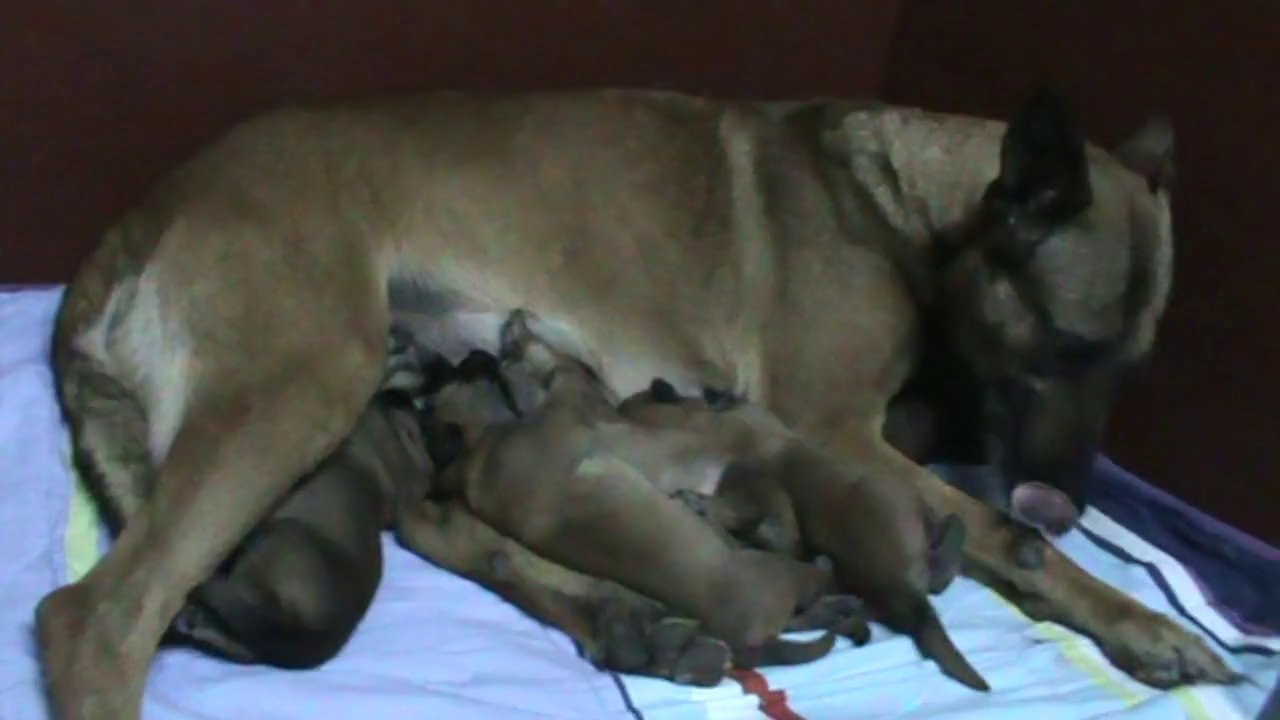 Be Aware G's @ Milchbar (8 Tage/Days)